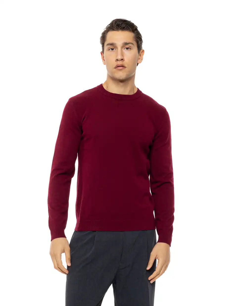 Biston Ανδρική πλεκτή μπλούζα με στρόγγυλο λαιμό 54-206-015 WINE RED