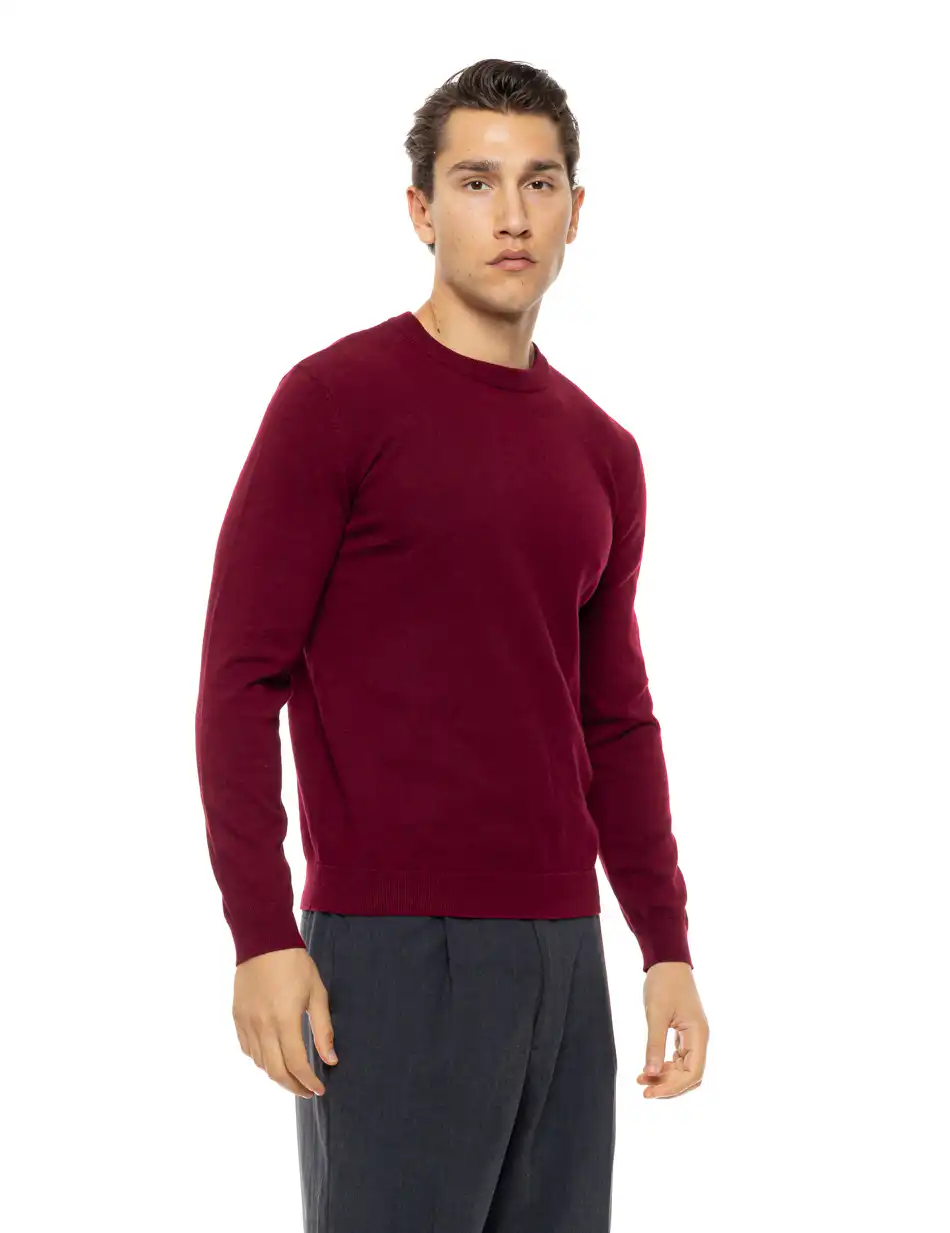 Biston Ανδρική πλεκτή μπλούζα με στρόγγυλο λαιμό 54-206-015 WINE RED