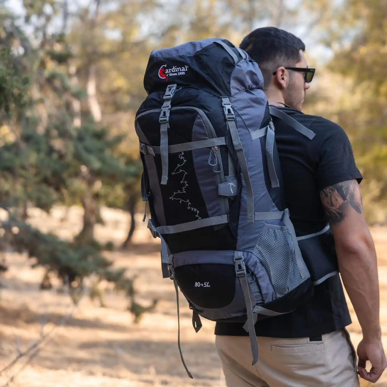 Σακίδιο πλάτης ορειβατικό Ταξιδιού Cardinal 630 80+5 L μαύρο