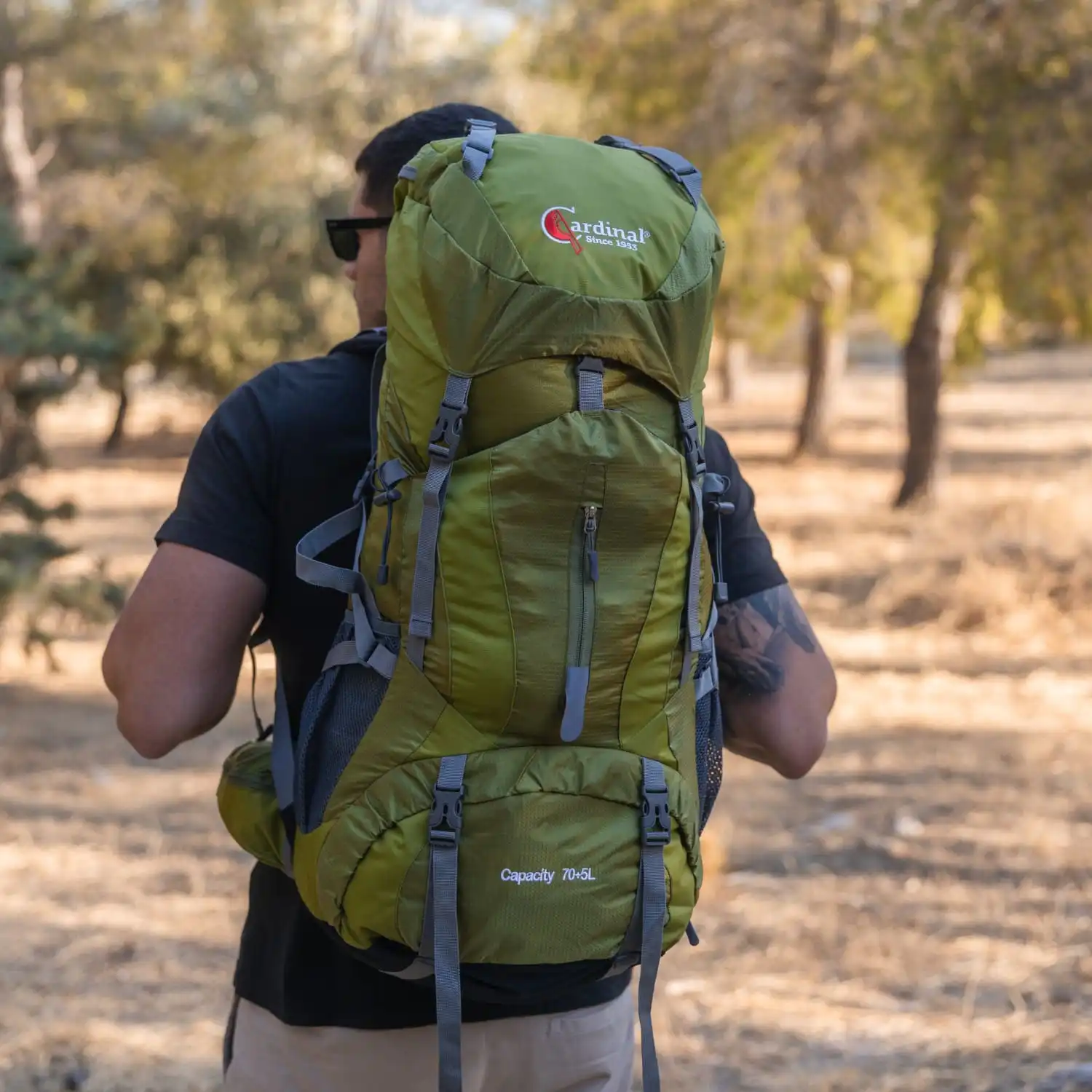 Σακίδιο ορειβατικό Ταξιδιού αδιάβροχο Cardinal 1788 70+5L πράσινο