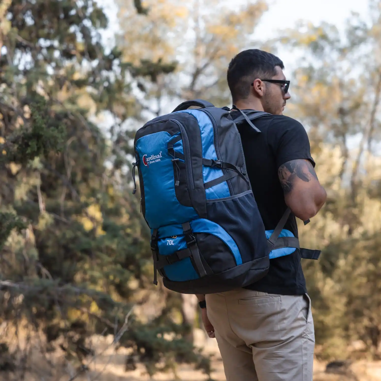 Σακίδιο πλάτης ορειβατικό Ταξιδιού Cardinal 856 70L γαλάζιο Σακίδιο πλάτης ορειβατικό Ταξιδιού Cardinal 856 70L γαλάζιο