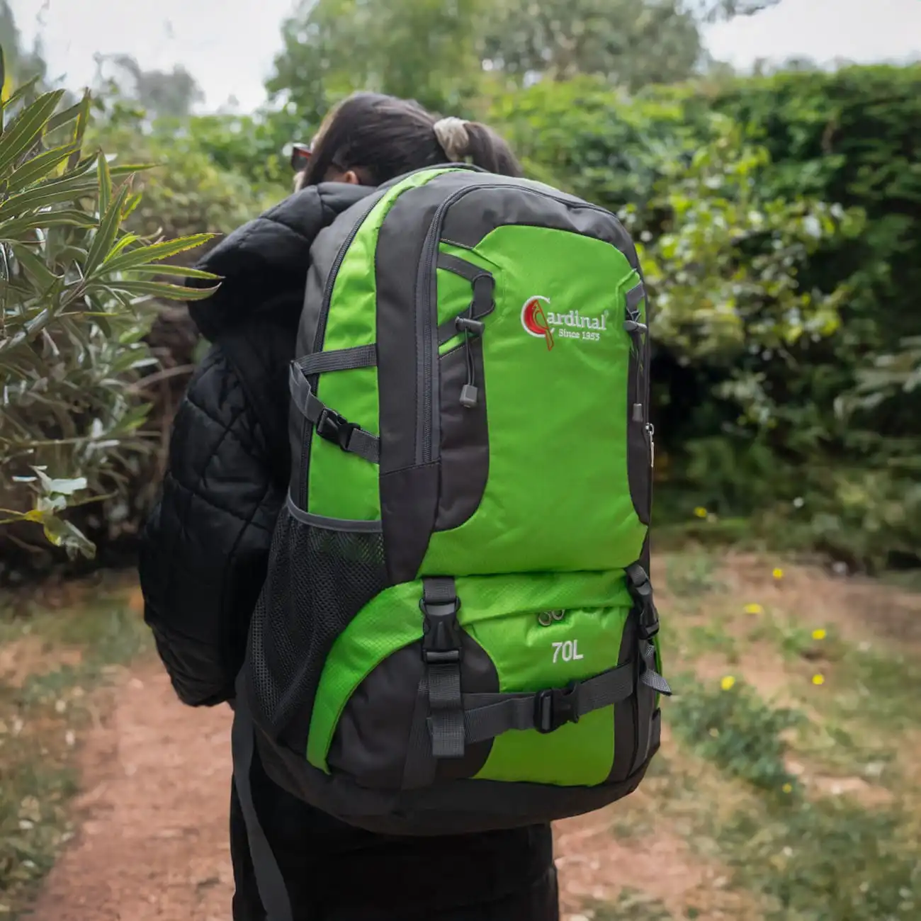 Σακίδιο πλάτης ορειβατικό Ταξιδιού Cardinal 856 70L πράσινο Σακίδιο πλάτης ορειβατικό Ταξιδιού Cardinal 856 70L πράσινο