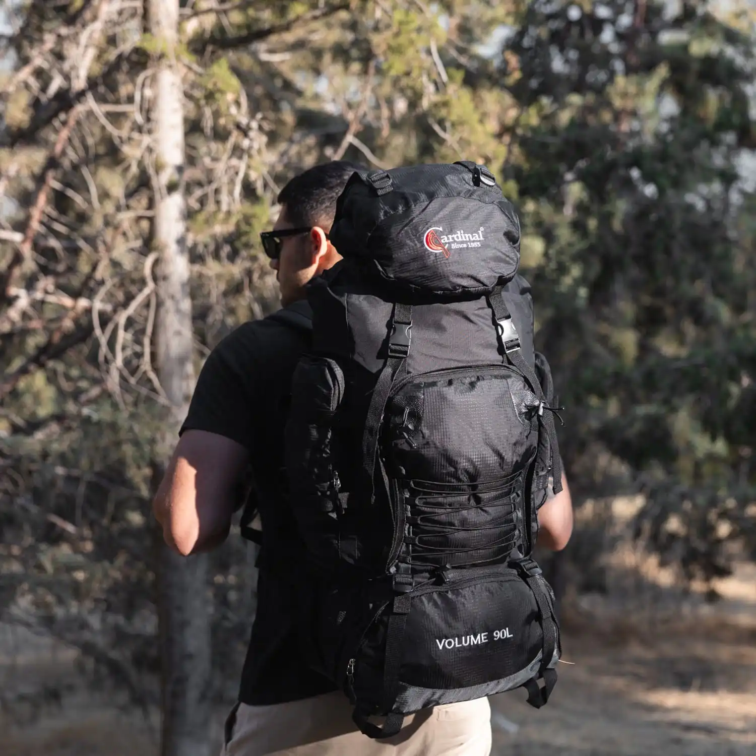 Σακίδιο πλάτης ορειβατικό Ταξιδιού αδιάβροχο Cardinal 990 90L μαύρο