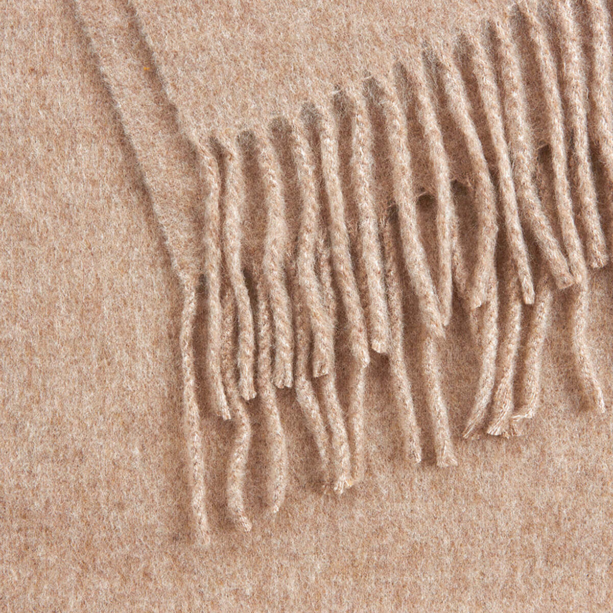 VERDE ΓΥΝΑΙΚΕΙΟ ΚΑΣΚΟΛ 06-1235 ΜΠΕΖ