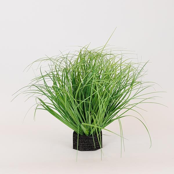 ΦΥΤΟ ΓΡΑΣΙΔΙ ΠΛΑΣΤΙΚΟ 35cm