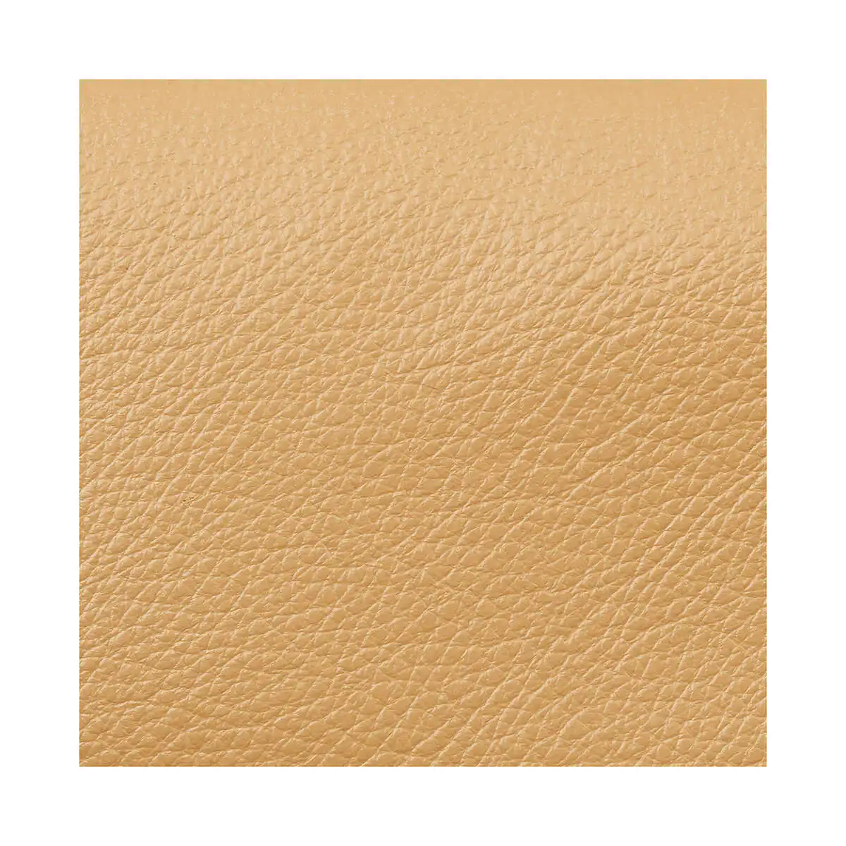 Verde Γυναικεία Τσάντα Χειρός-΄Ώμου 16-7406 Μπεζ