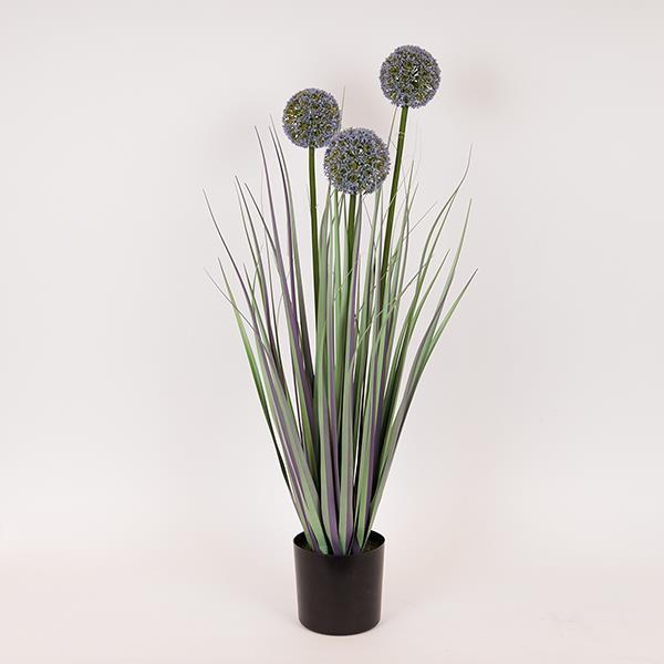 ΦΥΤΟ ΓΡΑΣΙΔΙ ΑΛΛΙΟ ΣΕ ΓΛΑΣΤΡΑ ΠΛΑΣΤΙΚΟ 80cm