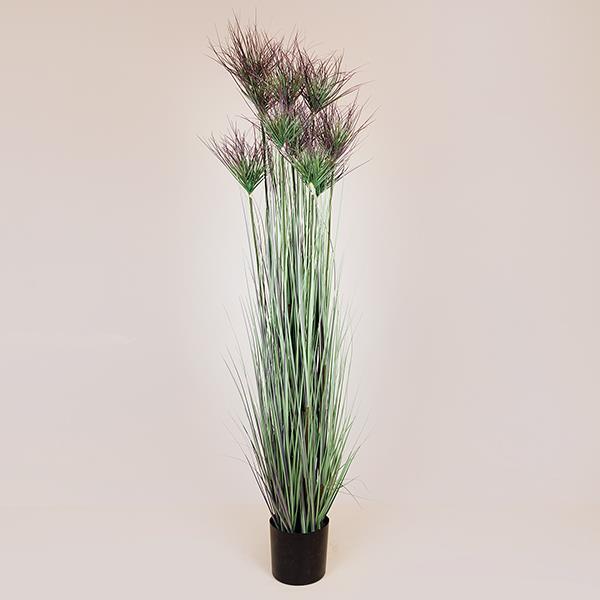 ΦΥΤΟ ΓΡΑΣΙΔΙ ΣΕ ΓΛΑΣΤΡΑ ΠΛΑΣΤΙΚΟ 183cm