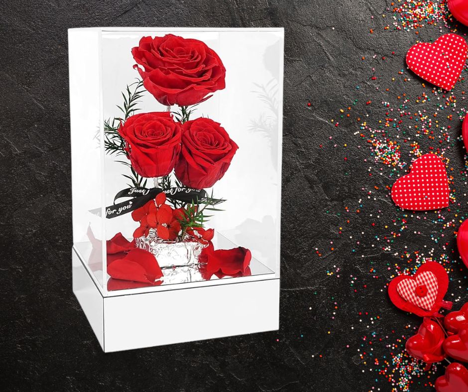 Τρία παντοτινά κόκκινα τριαντάφυλλα σε γυάλα Τρία παντοτινά κόκκινα τριαντάφυλλα σε γυάλα
