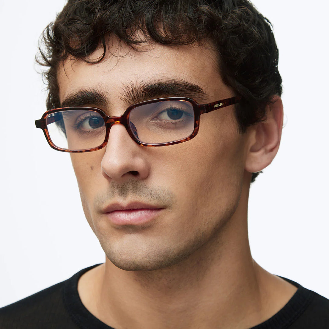 Γυαλιά Ηλίου Meller Razi Tigris - Blue Light