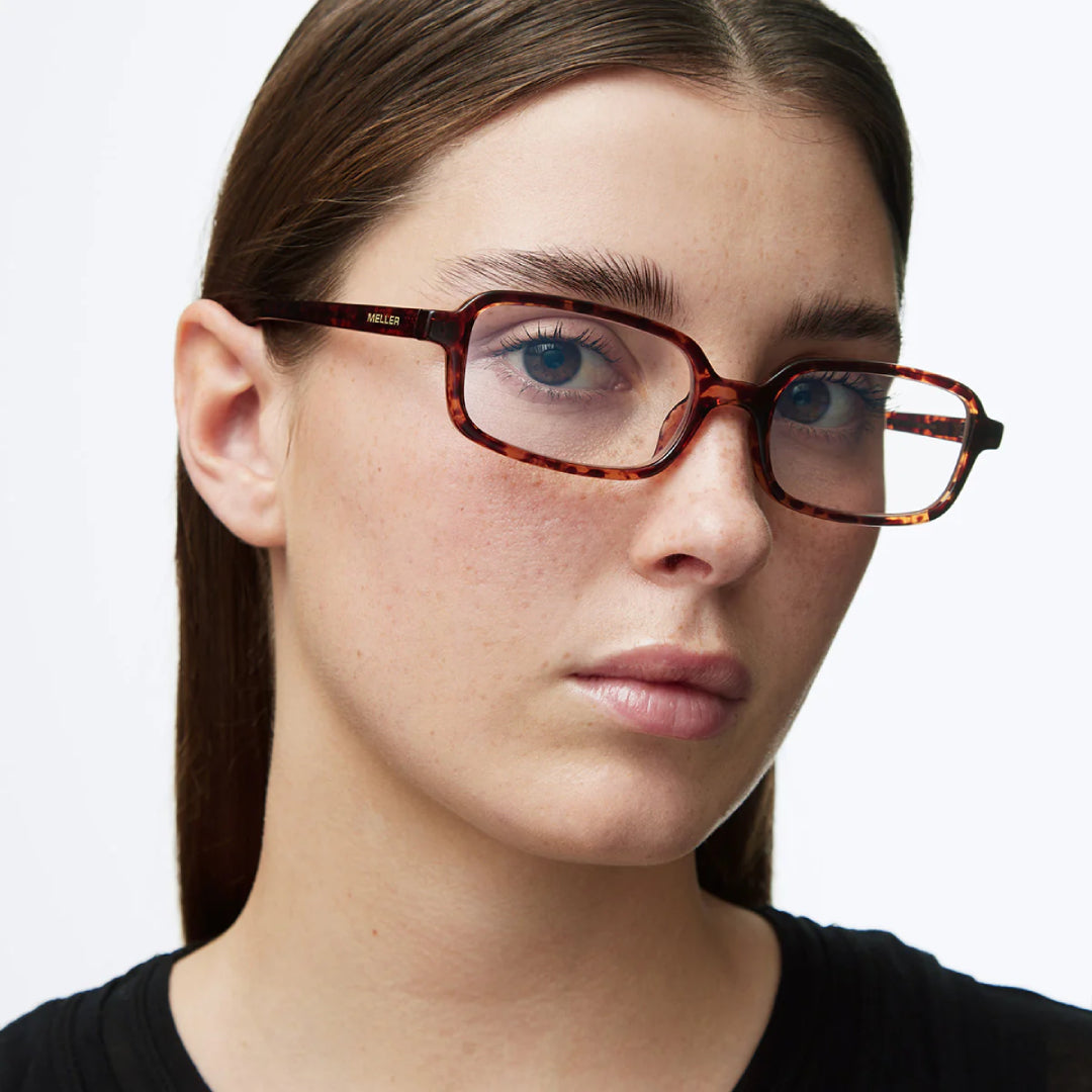 Γυαλιά Ηλίου Meller Razi Tigris - Blue Light