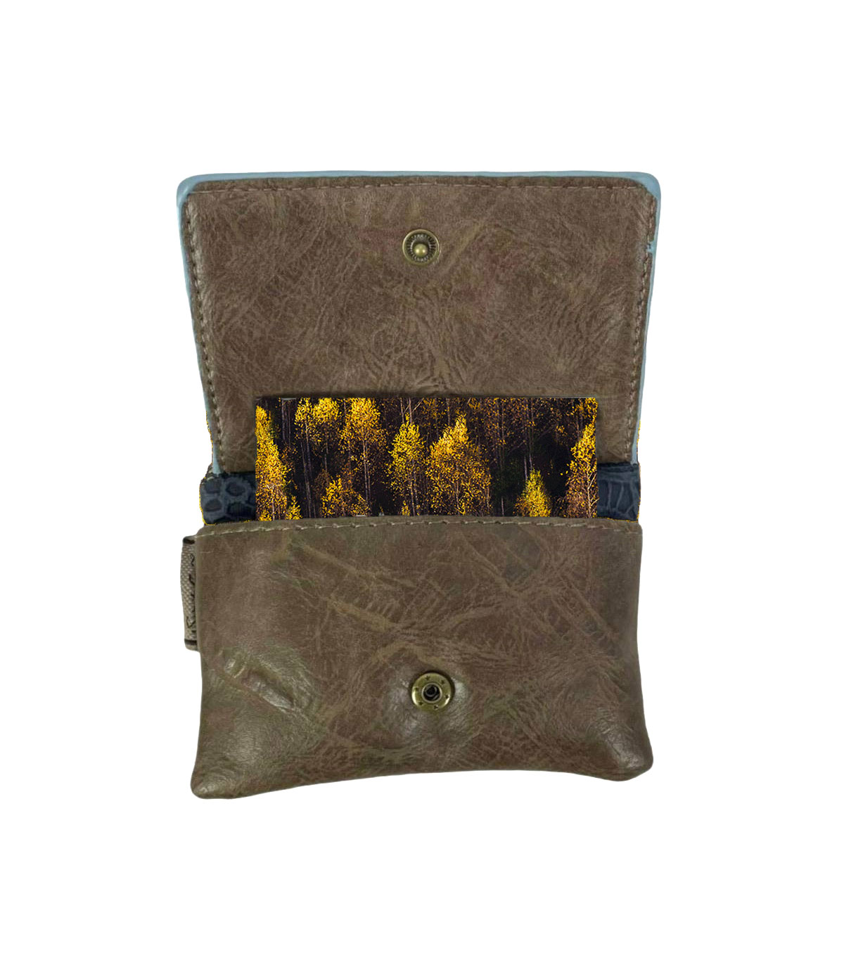 Γυναικείο πορτοφόλι Sweet Candy CGC211 Espejo