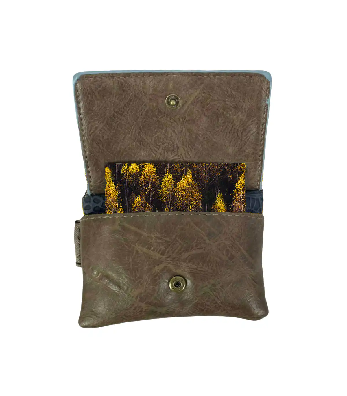 Γυναικείο πορτοφόλι Sweet Candy CGC211 Ballet