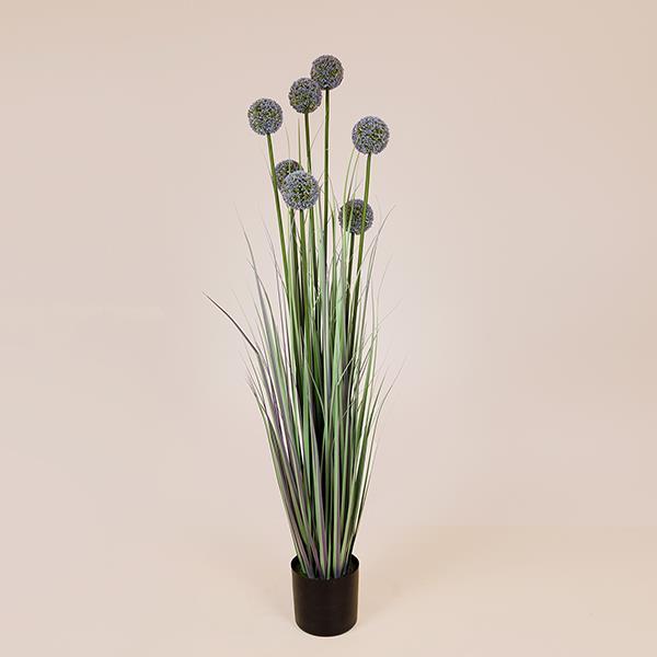 ΦΥΤΟ ΓΡΑΣΙΔΙ ΑΛΛΙΟ ΣΕ ΓΛΑΣΤΡΑ ΠΛΑΣΤΙΚΟ 140cm