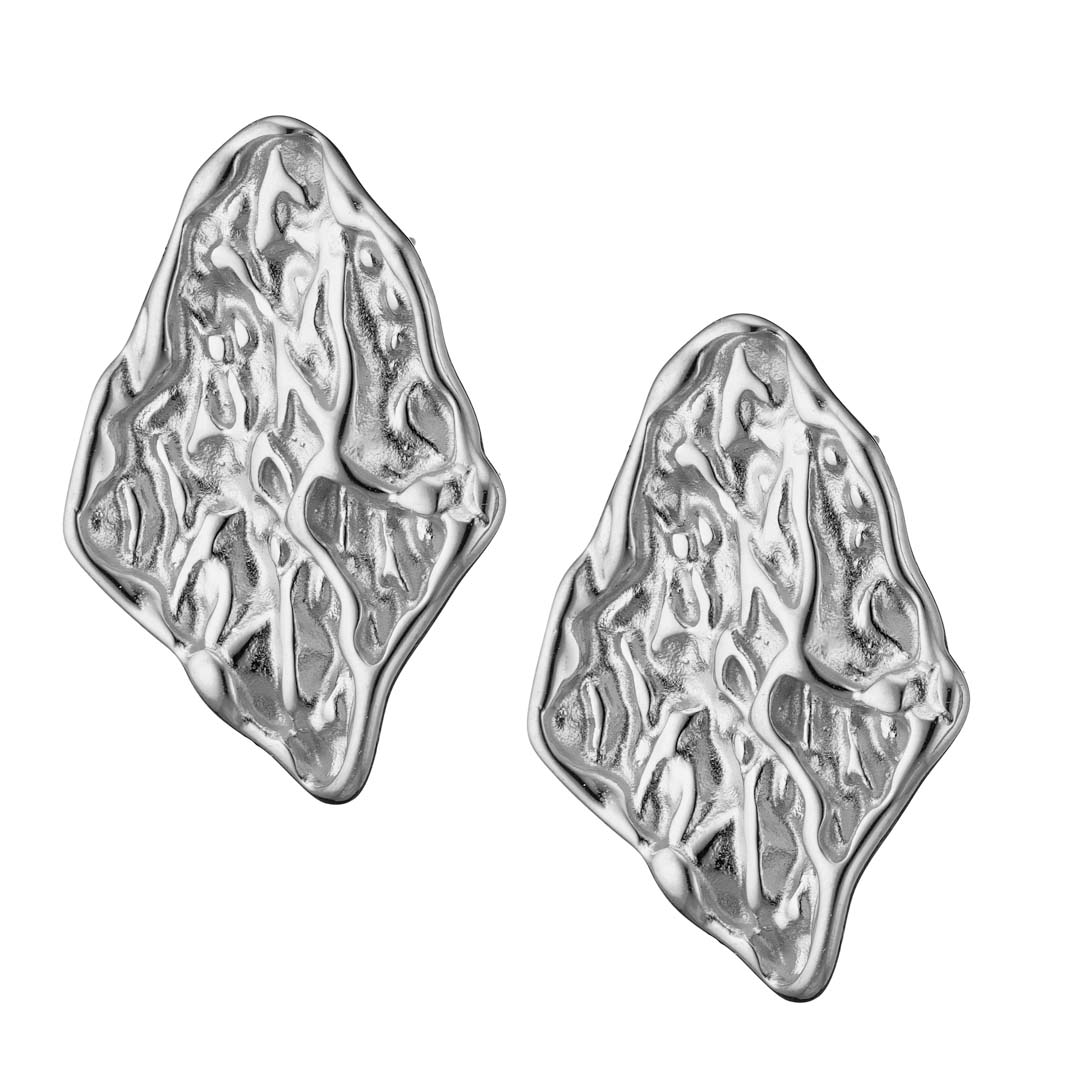 Γυναικείο Καρφωτό Σκουλαρίκι από ανοξείδωτο ατσάλι N-02339