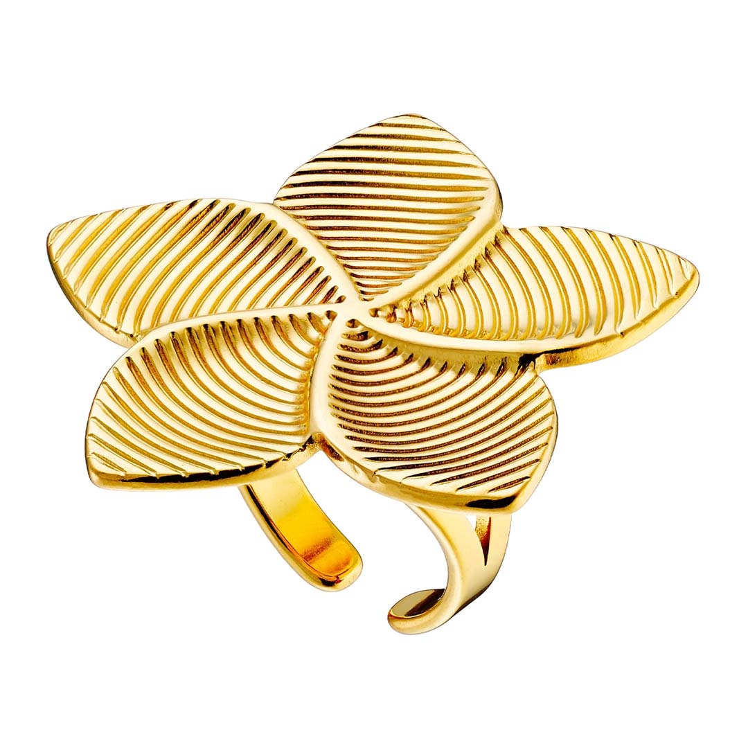 Γυναικείο Δαχτυλίδι από ανοξείδωτο ατσάλι N-02567G