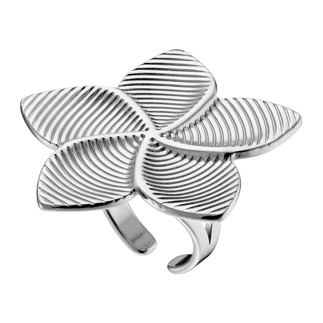 Γυναικείο Δαχτυλίδι από ανοξείδωτο ατσάλι N-02567