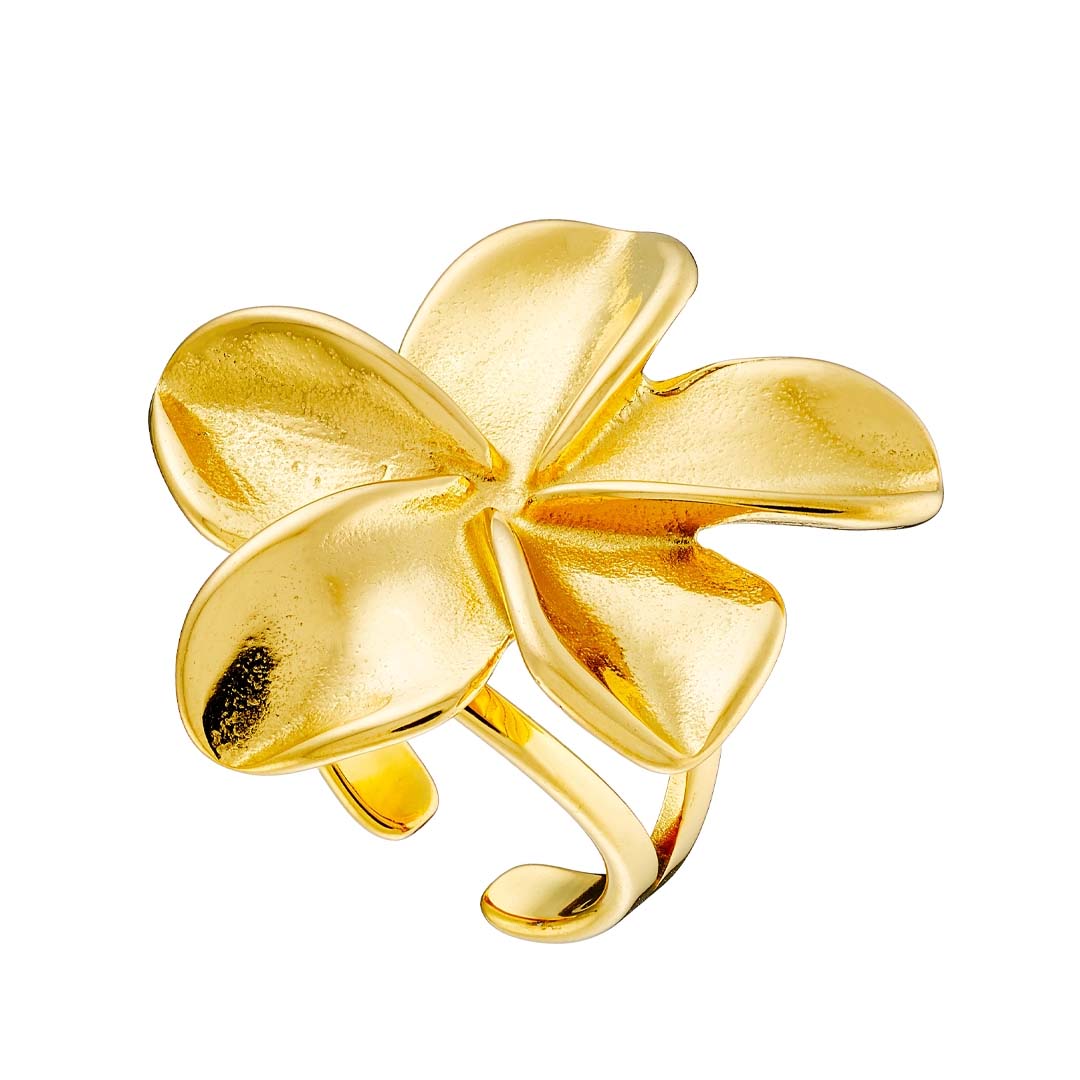 Γυναικείο Δαχτυλίδι από ανοξείδωτο ατσάλι N-02568G