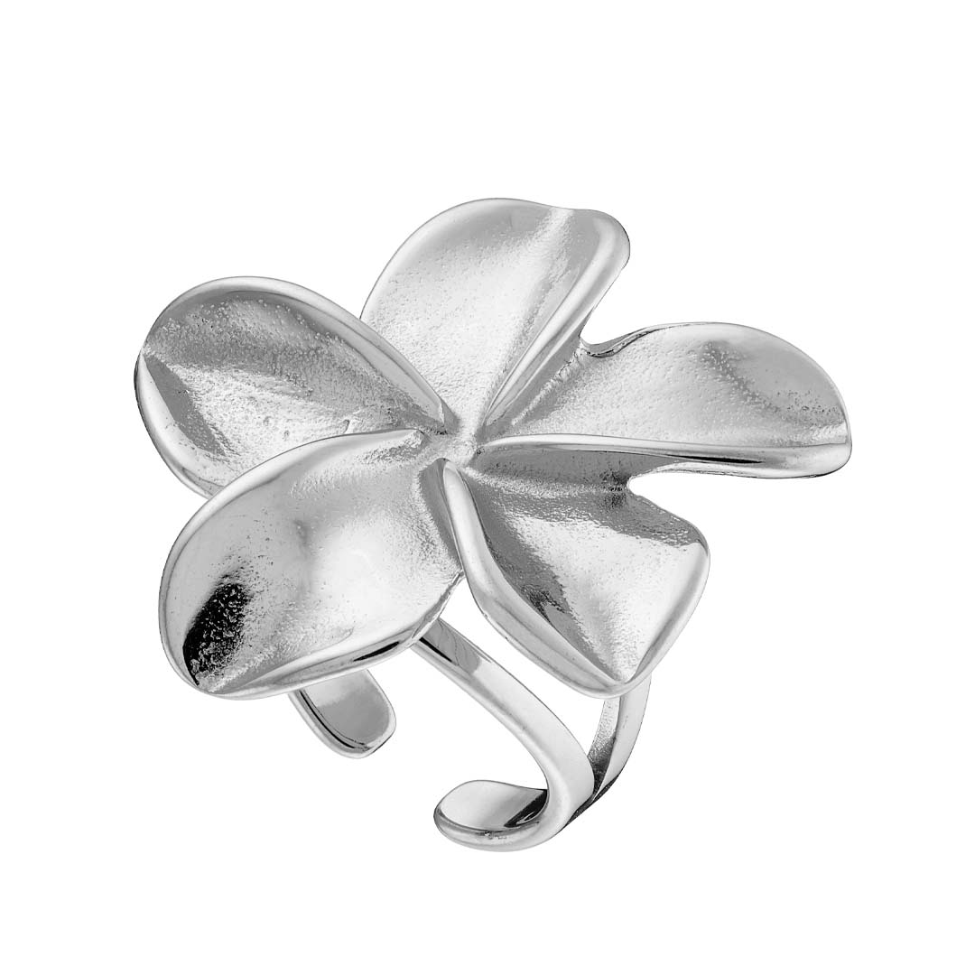 Γυναικείο Δαχτυλίδι από ανοξείδωτο ατσάλι N-02568